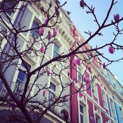 Shittycent:  Still—Getting—There:  ✿♡Rosy/Summer Blog,I Follow Back♡✿