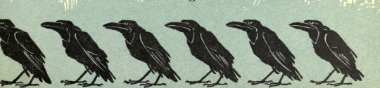 W. W. Denslow, Illustrations for The Wonderful Wizard of Oz, 1900