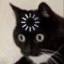 blackcat-star