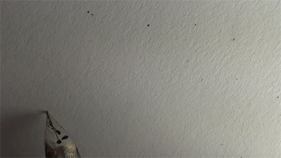 sizvideos:  Watching this guy writing things is so satisfying - Full video