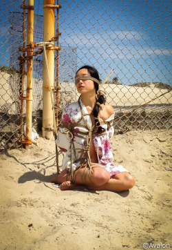 123Avalon:beach Fun On A Sunny Day - Los Angeles - Model:  Yayoi  - Rope &Amp;Amp;