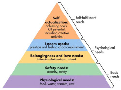 psych2go:  The Maslow’s Hierarchy of NeedsYou