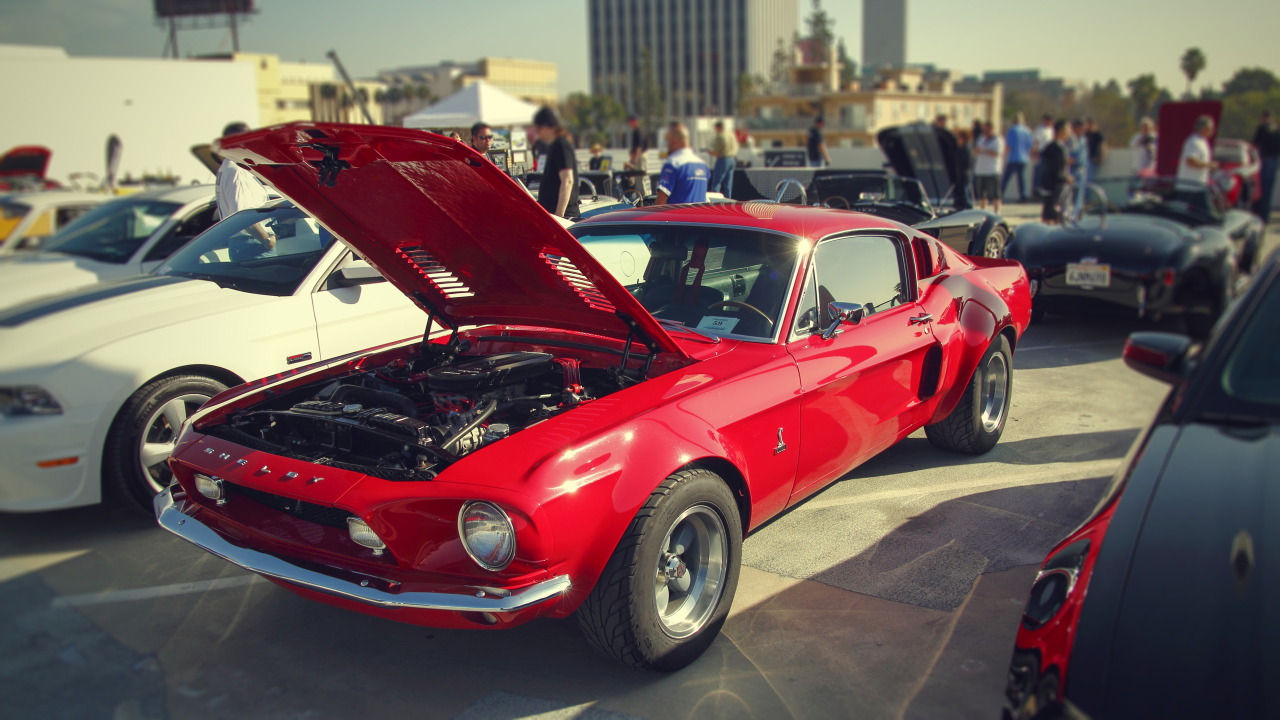 yessir-youarefat:  Shelby GT500 widebody Carroll Shelby Cruisein, Petersen Automotive