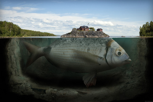  Fishy Island by Erik Johansson 