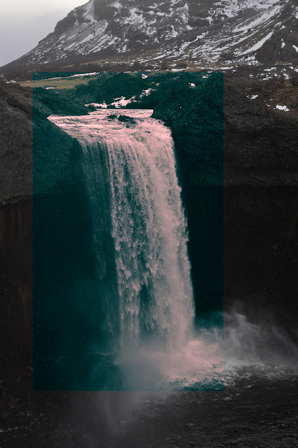 Photographs