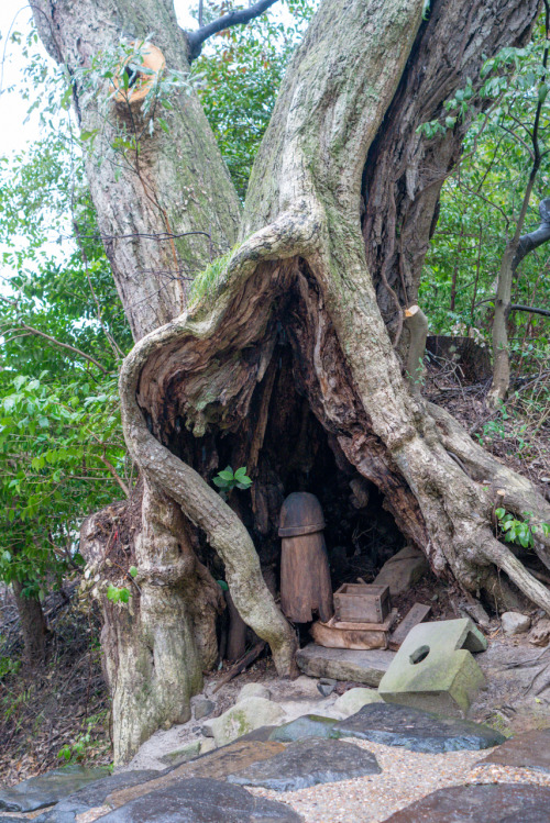 shrinephotos:八重垣神社（島根）2021年3月