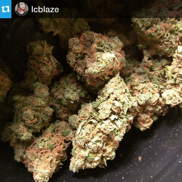 weedporndaily:  #Regram @lcblaze Thanks for using the StonerSunday tag 👌😚💨