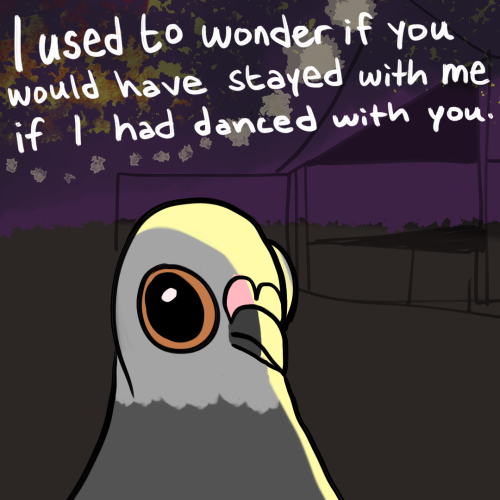 Pigeon Break Up stories