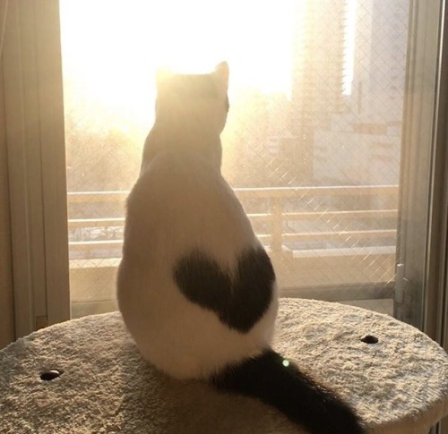 ☽