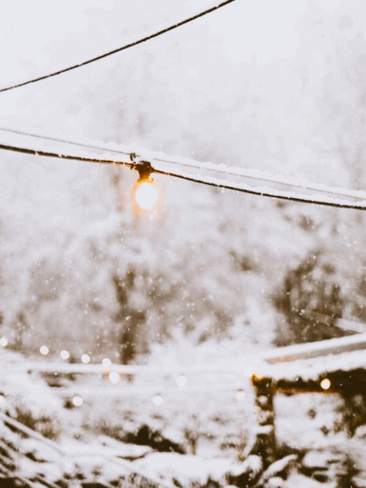 Liza C. — ❄️The first Snow ❄️ gifs made by me :)