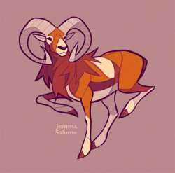oxboxer:  Mouflon. Warming up with a COOL WILD SHEEP.