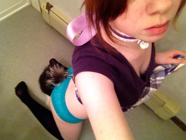redheadedkitten:  🐾 