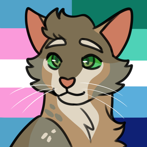 berrym00n:pride batch #7trans genderfluid tallstar, lesbian dovewing, nonbinary crookedstargay man t