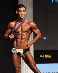 KOREAN SHREDZ