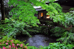 yuikki:Garden in Sanzen-in…三千院庭園