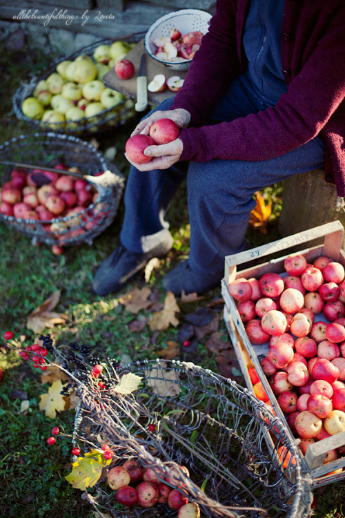 Apple time by Loretta