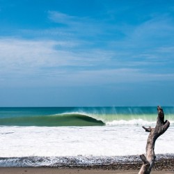 ripcurlusa:  Reason #5,476 to #LiveTheSearch