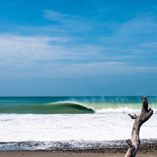Sex ripcurlusa:  Reason #5,476 to #LiveTheSearch pictures