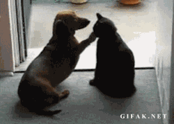 Georgetakei:  When Someone’s Trying To Comfort You But You Don’t Need That Right