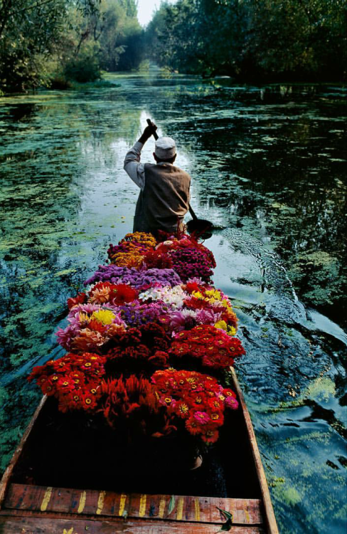 tropicale-moderne: Houseboats and Flower Seller on Dal Lake, Srinagar, Kashmir by Steve McCurry