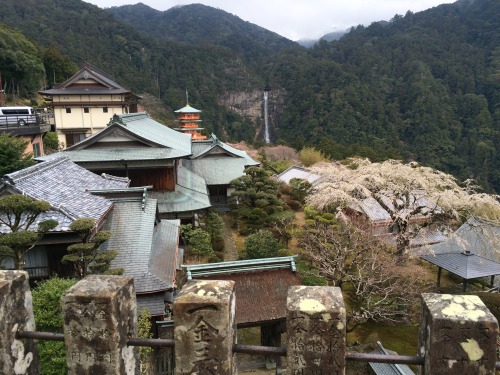 4 days of kumano kodo pilgrimage - end view