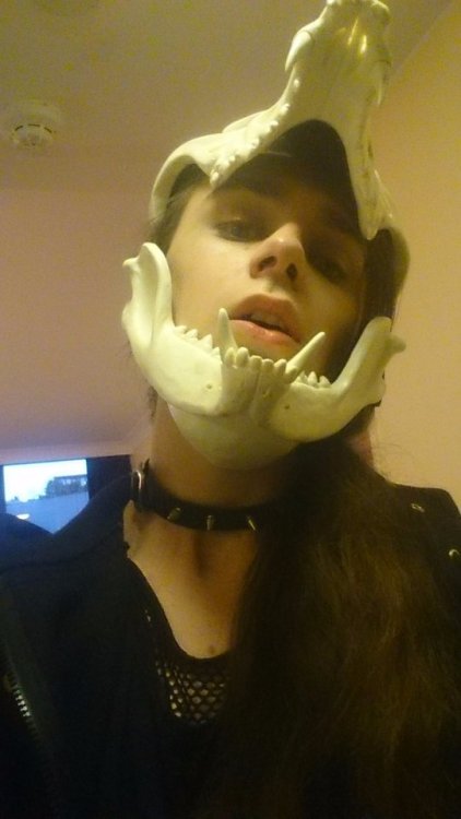 thefingerfuckingfemalefury:  priestessamy: witnesstheabsurd: New looks GOOD LOOK  AESTHETIC