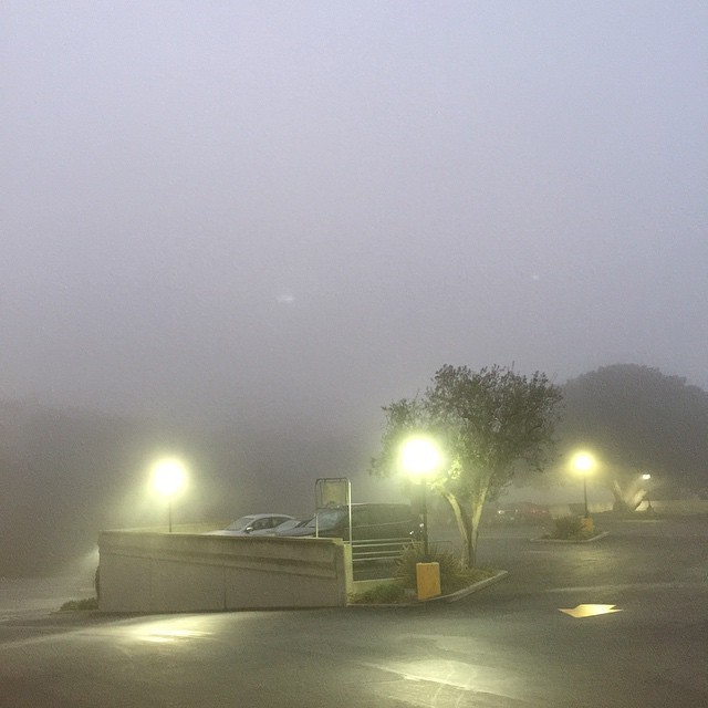 Creepy mornings up in PV💀👽