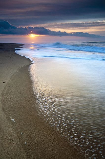 cyntemesy55:Martha’s Vineyard