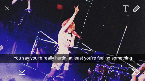 hayleywilliamsdaily:  The Singles Club in snaps. 