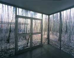 vuls:  Large Cube in Forest by Sabine Hornig 