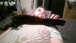 cuteboyswithcats:  scout is sleeping on lockhart. how this is comfortable is beyond me.-thediggorycomplex