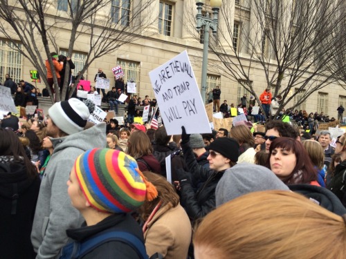 sashayed:Signs at the White House, 1/29.