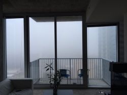 bl-ossomed:  I love early mornings when I wake up and I can’t see outside my living room windows because the fog is blocking the view, so beautiful. 