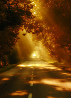 skyvvard:  The road || by Andy 58 