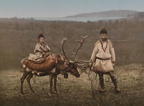 Sami child riding a reindeer, circa 1900.