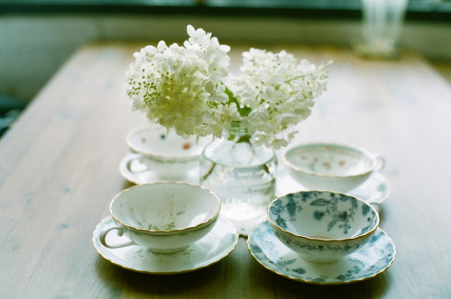 englishsnow:  by childishToy* 