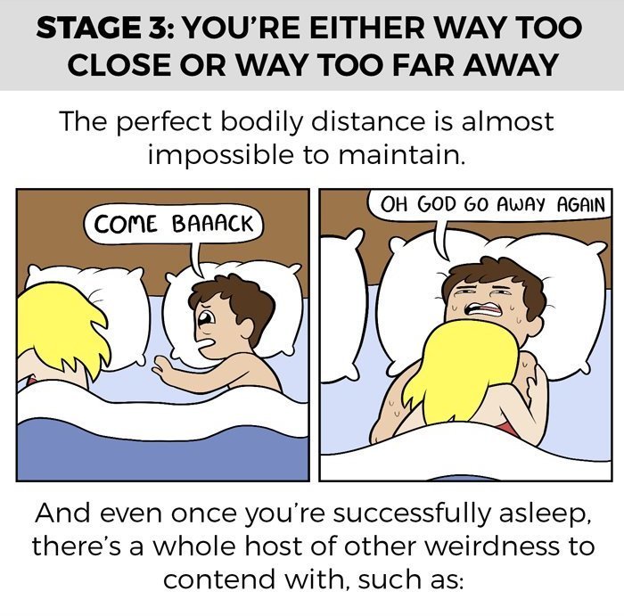 pardonmewhileipanic:  revyspite:  pr1nceshawn:  The  Stages Of Sleeping With Your