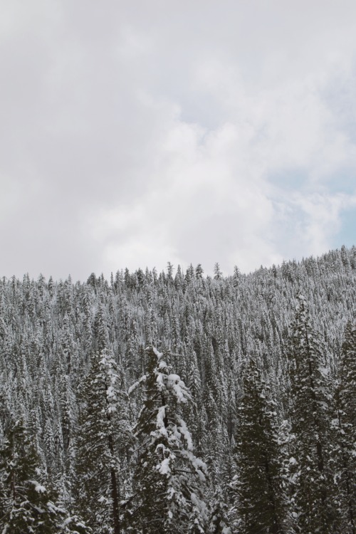 A bit of snowy sierra nevadas for the year. These mountains in the winter really are something incre