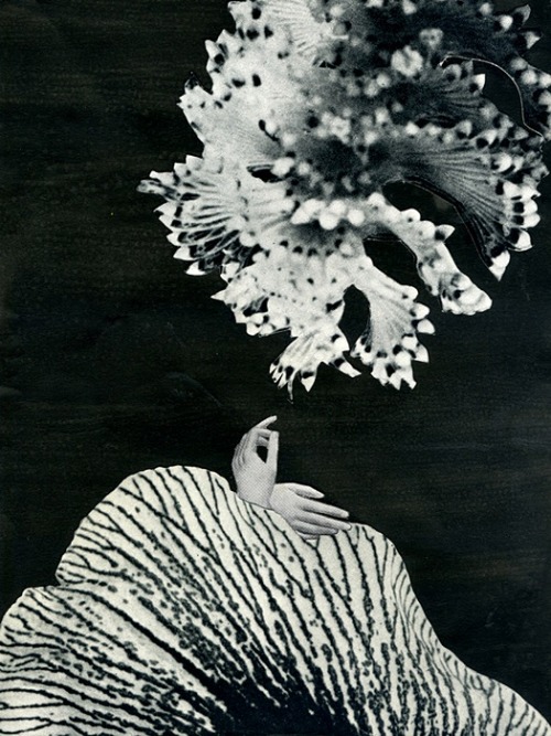 miss-catastrofes-naturales:  Yann Bagot Le jardin - Serie Échos 