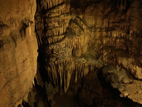 stariousfalls:Mammoth Cave National Park was so cool!