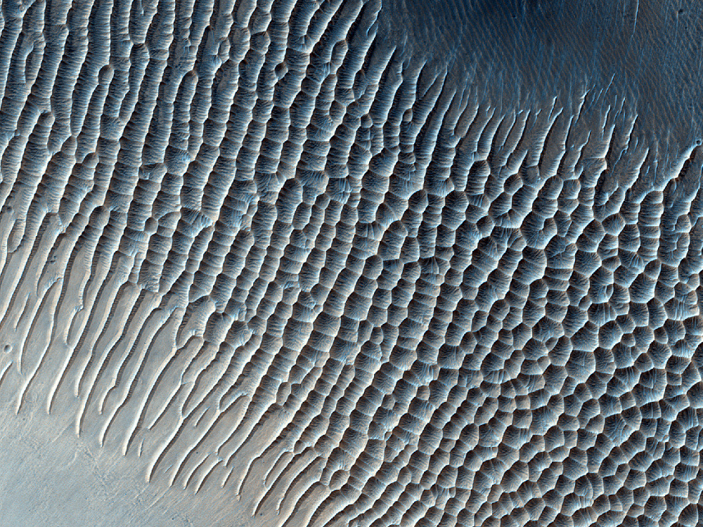 blazepress:  The surface of mars.
