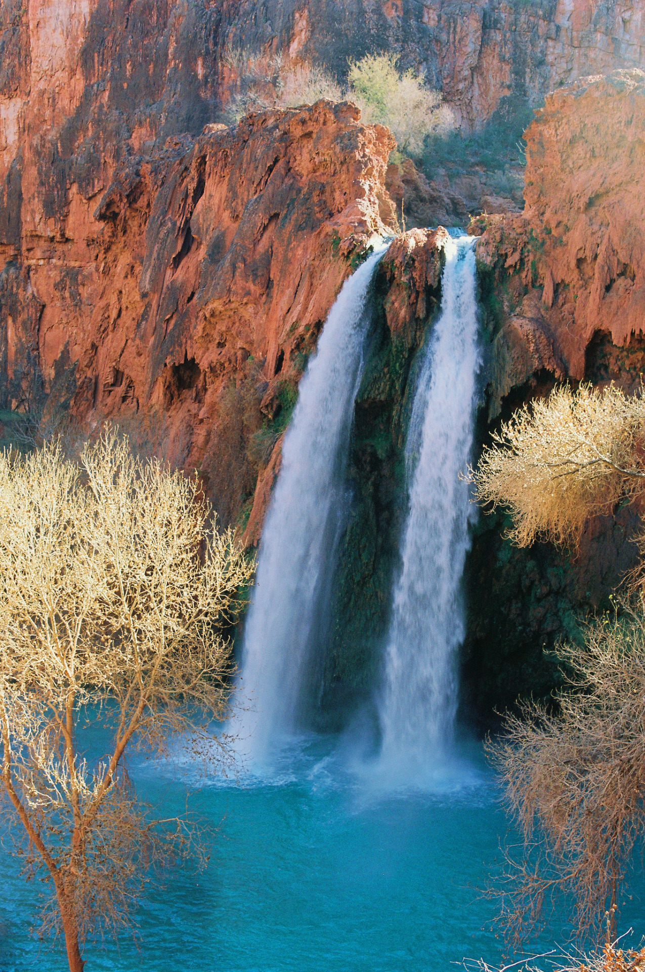 scrapbooking-nature:   	Navajo Falls - Havasupai by Lee Sanborn    	Via Flickr: 	Arizona