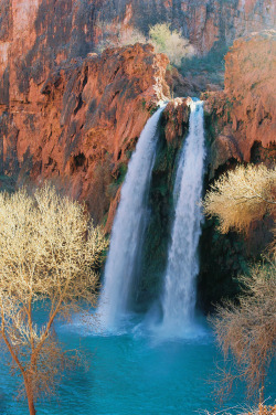 scrapbooking-nature:   	Navajo Falls - Havasupai