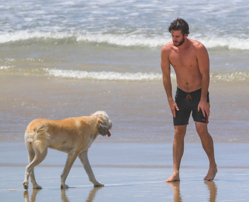 mynewplaidpants2:CLICK HERE for more Liam Hemsworth 