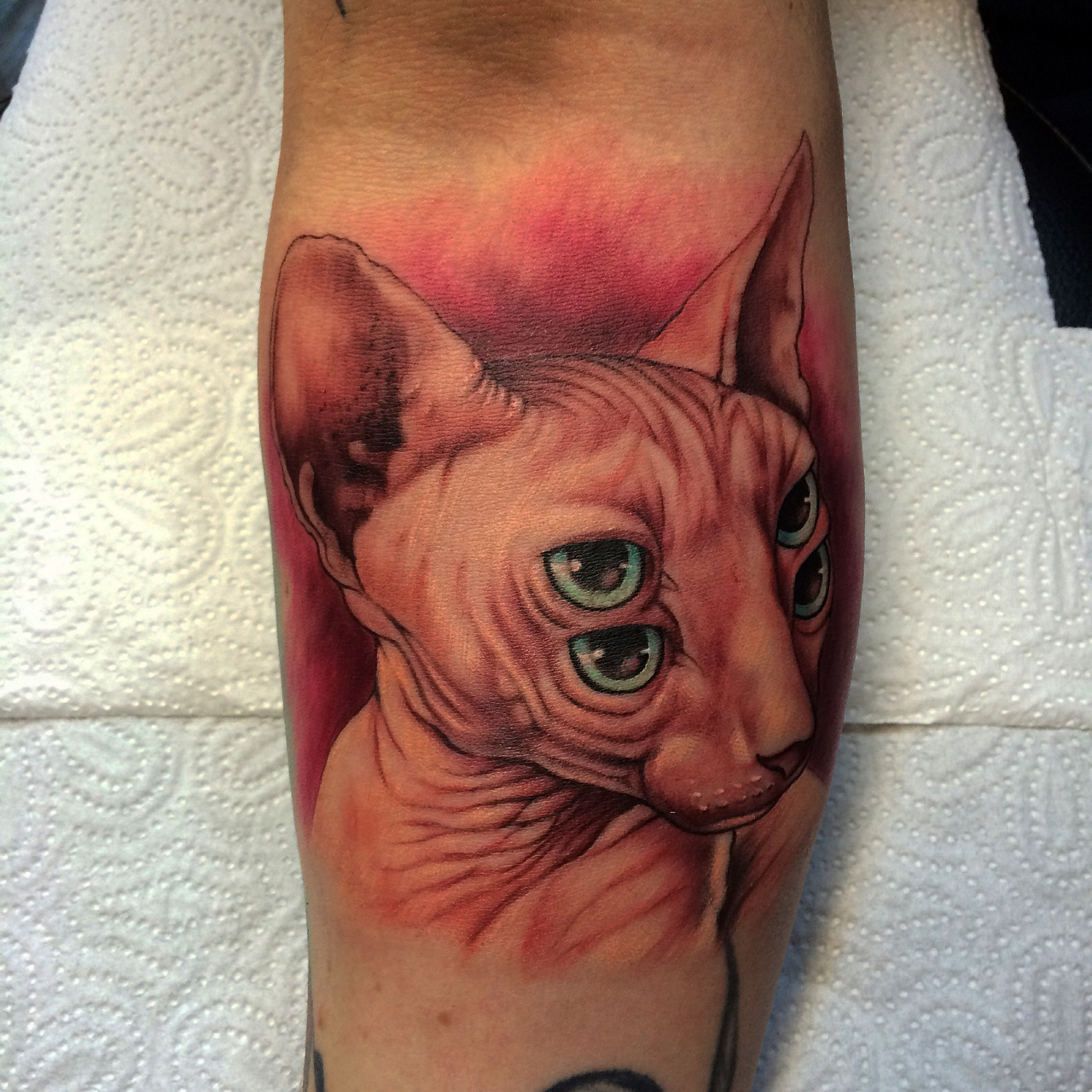 fuckyeahtattoos:  Sphynx (Reproduction) Orginal design by Caseyweldon Savaş Doğan