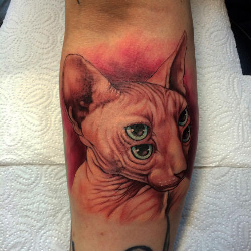 fuckyeahtattoos:  Sphynx (Reproduction) Orginal design by Caseyweldon Savaş Doğan - Matkap Tattoo Istanbul Kadiköy instagram.com/inktotalart www.facebook.com/savas.dogan.5437 www.matkaptattoo.com