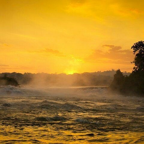 funnywildlife:Dawn on the Nile River #ExploreUganda #WildographyandSafaris #visituganda@mpuzzlegirl