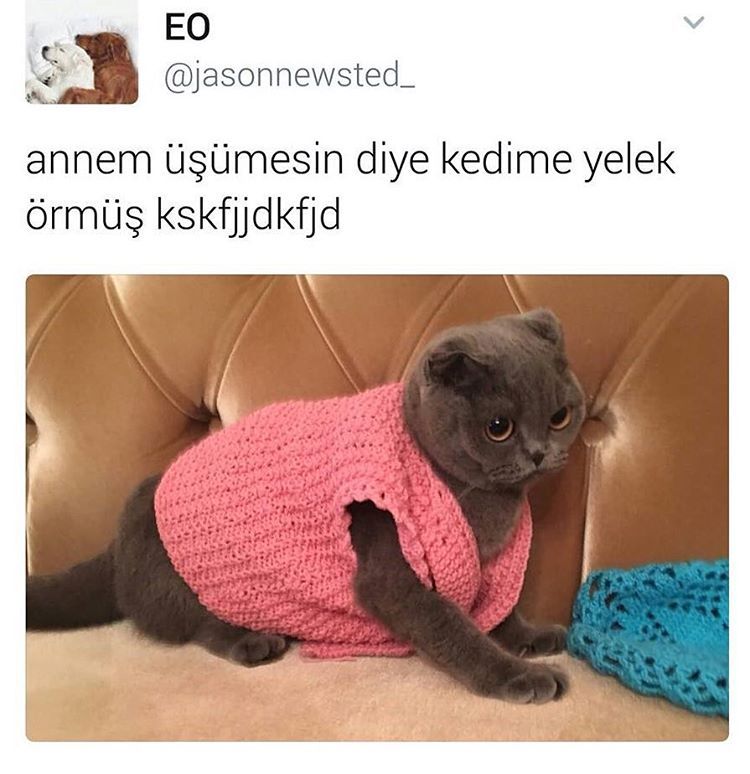 Annem üşümesin diye kedime...