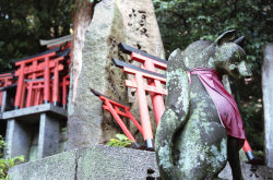 ileftmyheartintokyo:  Fushimi-inari shrine,Kyoto by mgsn on Flickr.