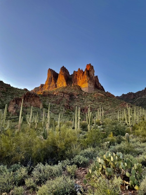 earthporn:A rocky peak - Superior, AZ [OC] (3024 x 4032) by: RampChurch